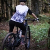 DOPE SERIES FOREST