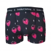 Boxer Court Fraises lightning