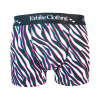 Boxer Court 3D Zebra