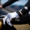 Gloves Forest