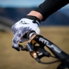 Gloves Forest