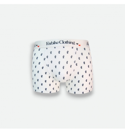 Short Boxer Cactus