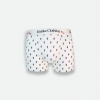 Short Boxer Cactus
