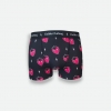 Boxer Court Fraises lightning
