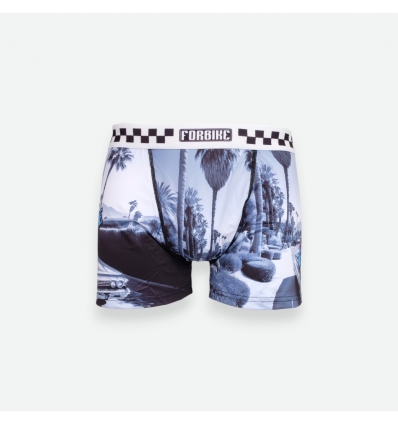 Boxer Court Palm Tree