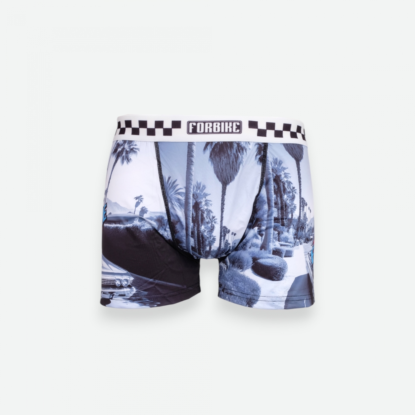 Boxer Court Palm Tree