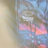 SPEED SUNSET PALACE